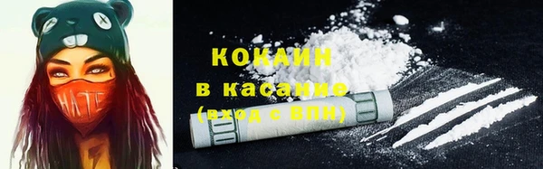 кокс Дмитровск