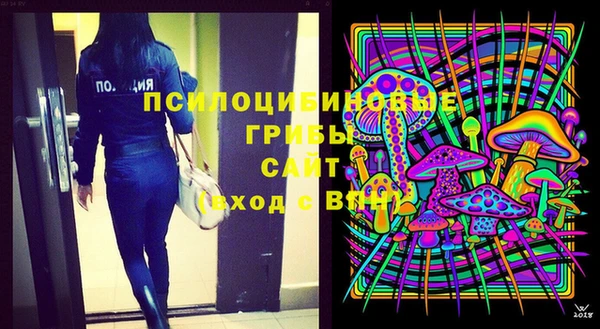 кокс Дмитровск
