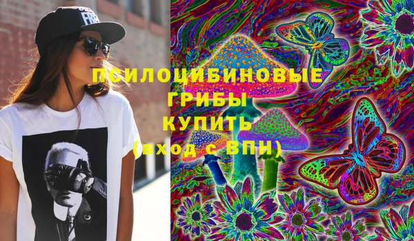 ГАЛЛЮЦИНОГЕННЫЕ ГРИБЫ Дмитров