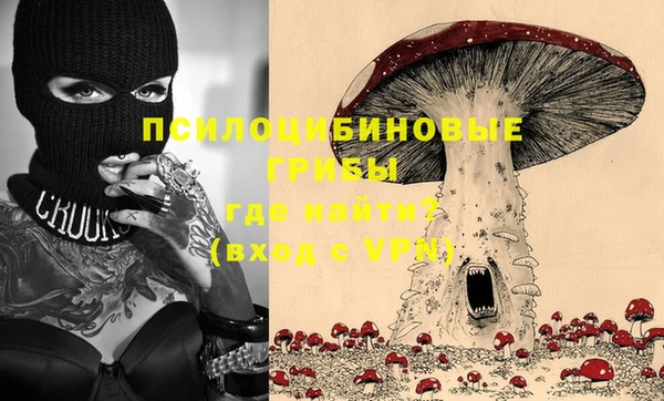 ГАЛЛЮЦИНОГЕННЫЕ ГРИБЫ Дмитров