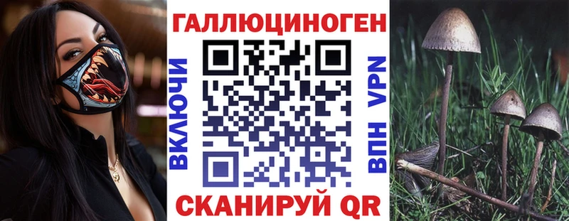 Галлюциногенные грибы ЛСД  Купить  Кингисепп 